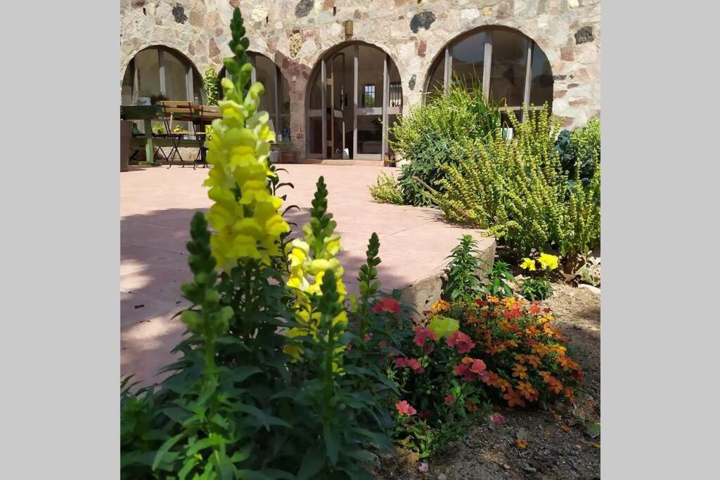 Eilat Stone - Patio אבן אילת - פטיוアパートメント エクステリア 写真