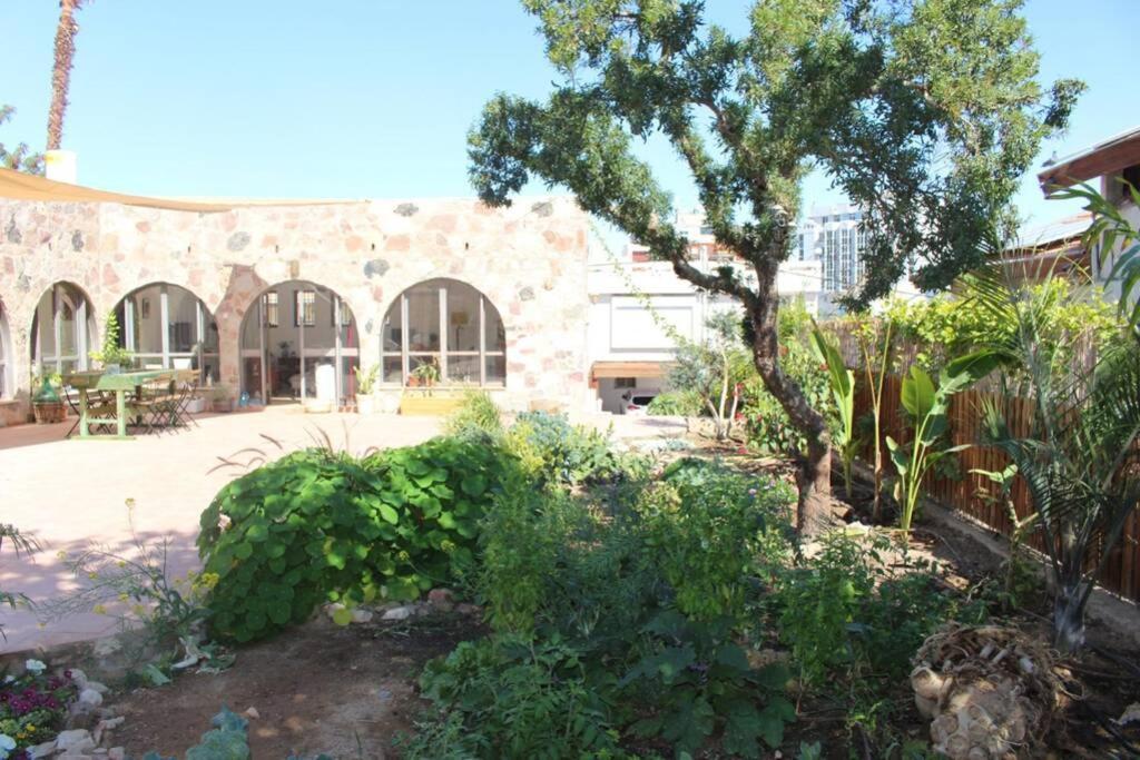 Eilat Stone - Patio אבן אילת - פטיוアパートメント エクステリア 写真